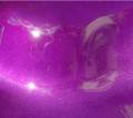 Candy Purple