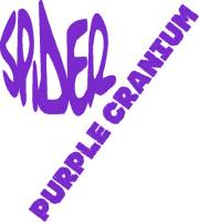 SpiderRockGuardVinyl-Purple1839151475