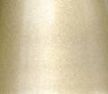 Gold Metallic